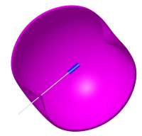 The 3D-Isodosis of a single seed shows the correct consideration of the anisotropy