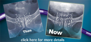 click here for more details